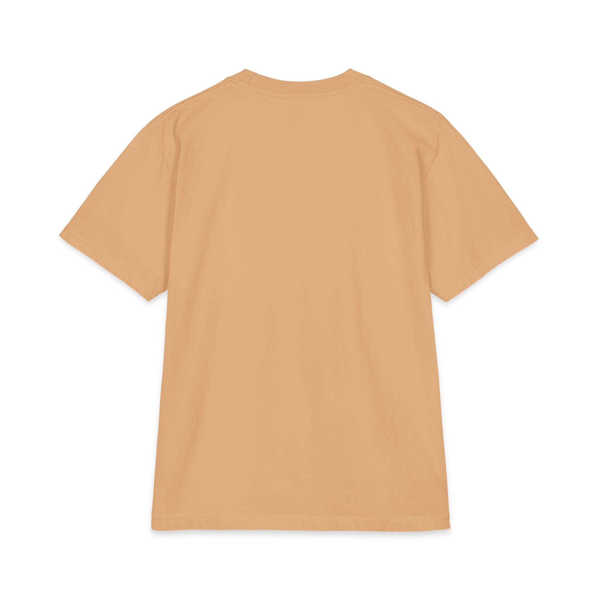 Hands Up Don't Shoot Graphic T-Shirt
